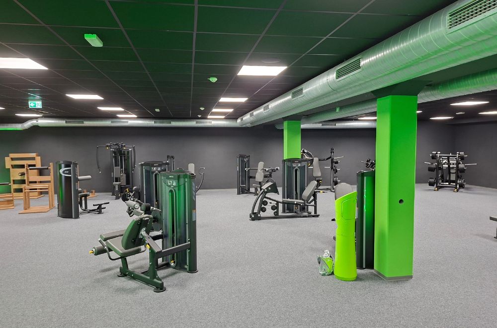 fitplus_Regen_Studio